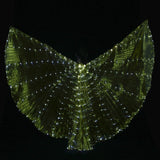 LED Butterfly Wing Cape Costume